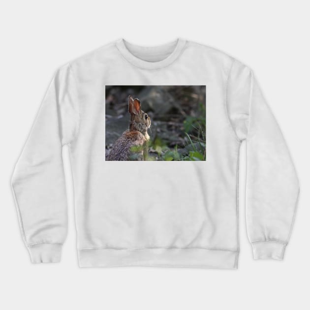 What may come of the day - Rabbit Crewneck Sweatshirt by Jim Cumming